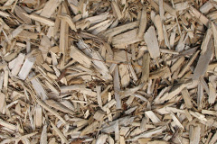 biomass boilers Tresta