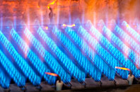 Tresta gas fired boilers